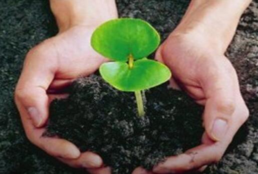 有機(jī)肥對農(nóng)業(yè)的7大貢獻(xiàn)